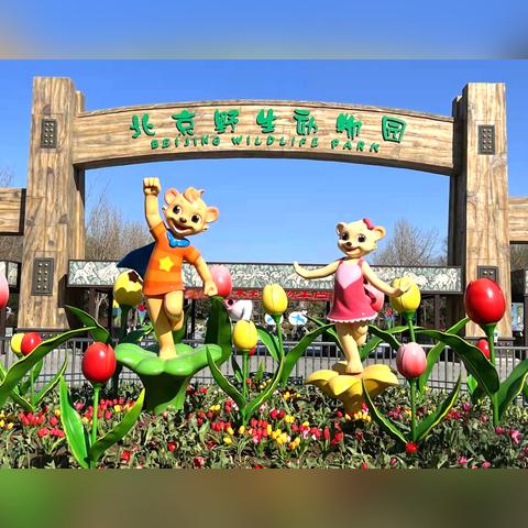 北京最新防疫要求解读
